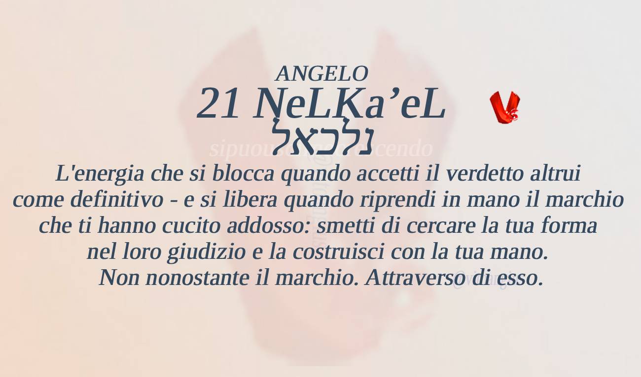 Copertina # 21 NeLKaʼeL: il marchio cucito addosso e la coscienza che resta una.