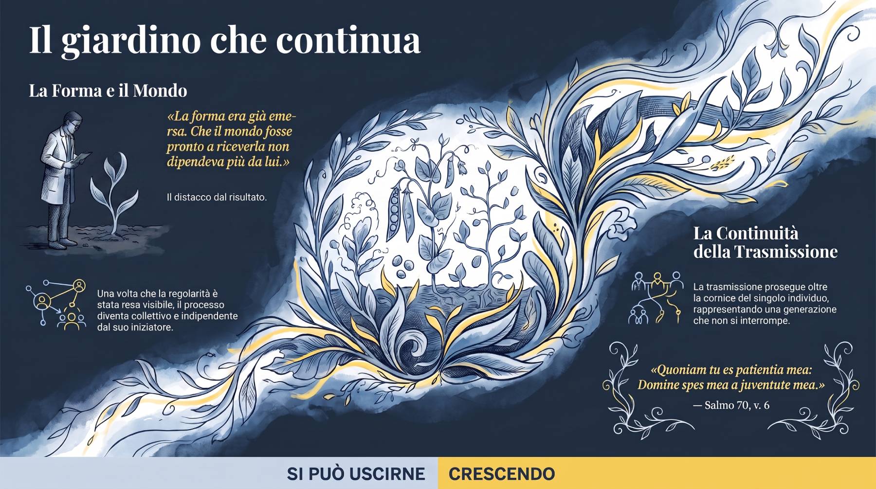 Epilogo di ʼOMaʼeL: il giardino che continua oltre chi ha iniziato il processo.